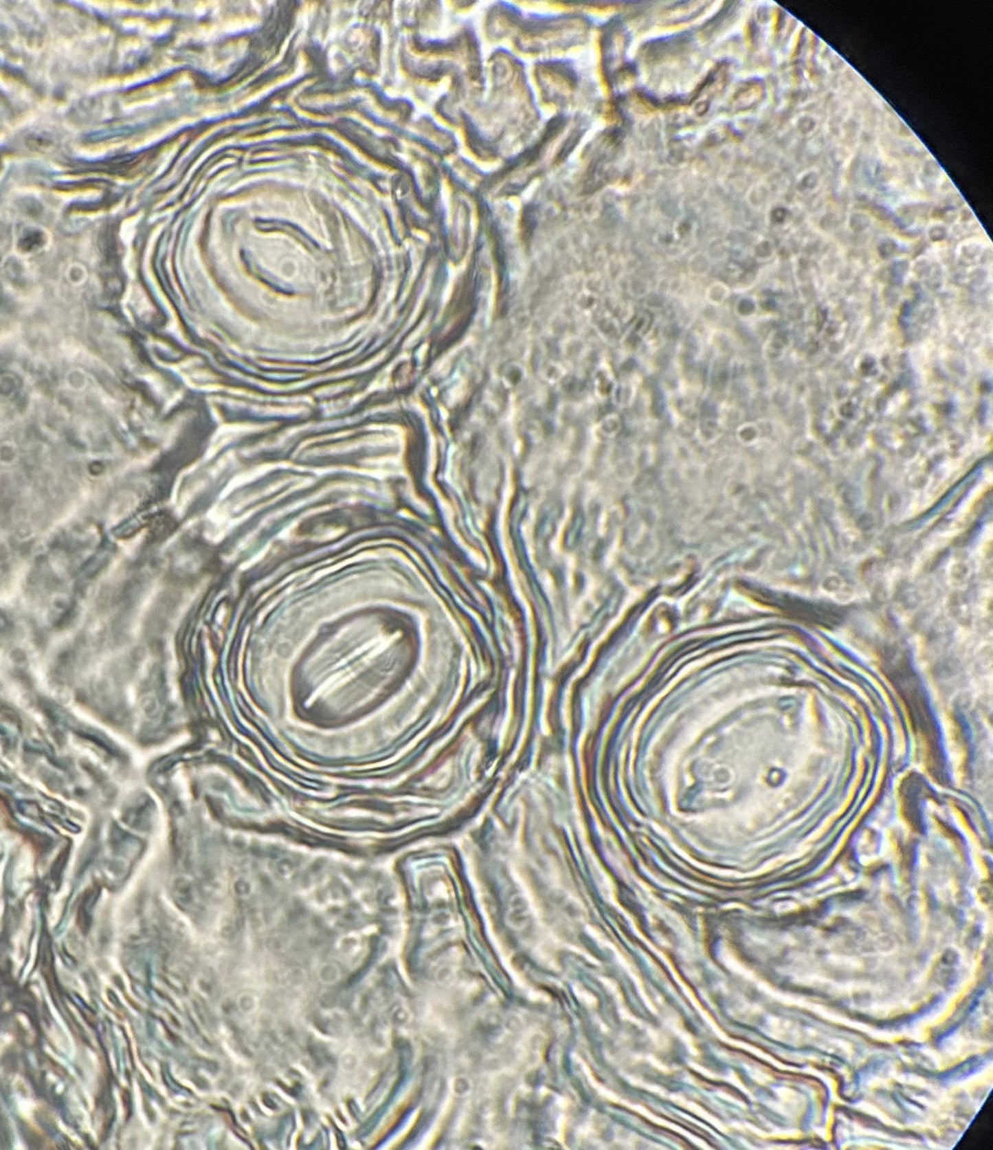 Biology in the Field