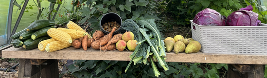 Food security, diversity and resilience in Ireland