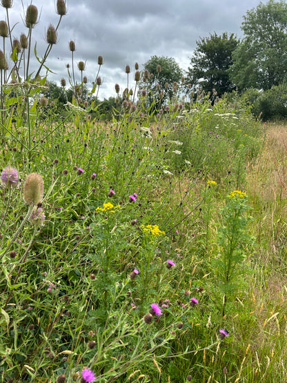 Biology in the Field