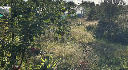 FT14 Forest Gardening Planting Unit (40 trees)