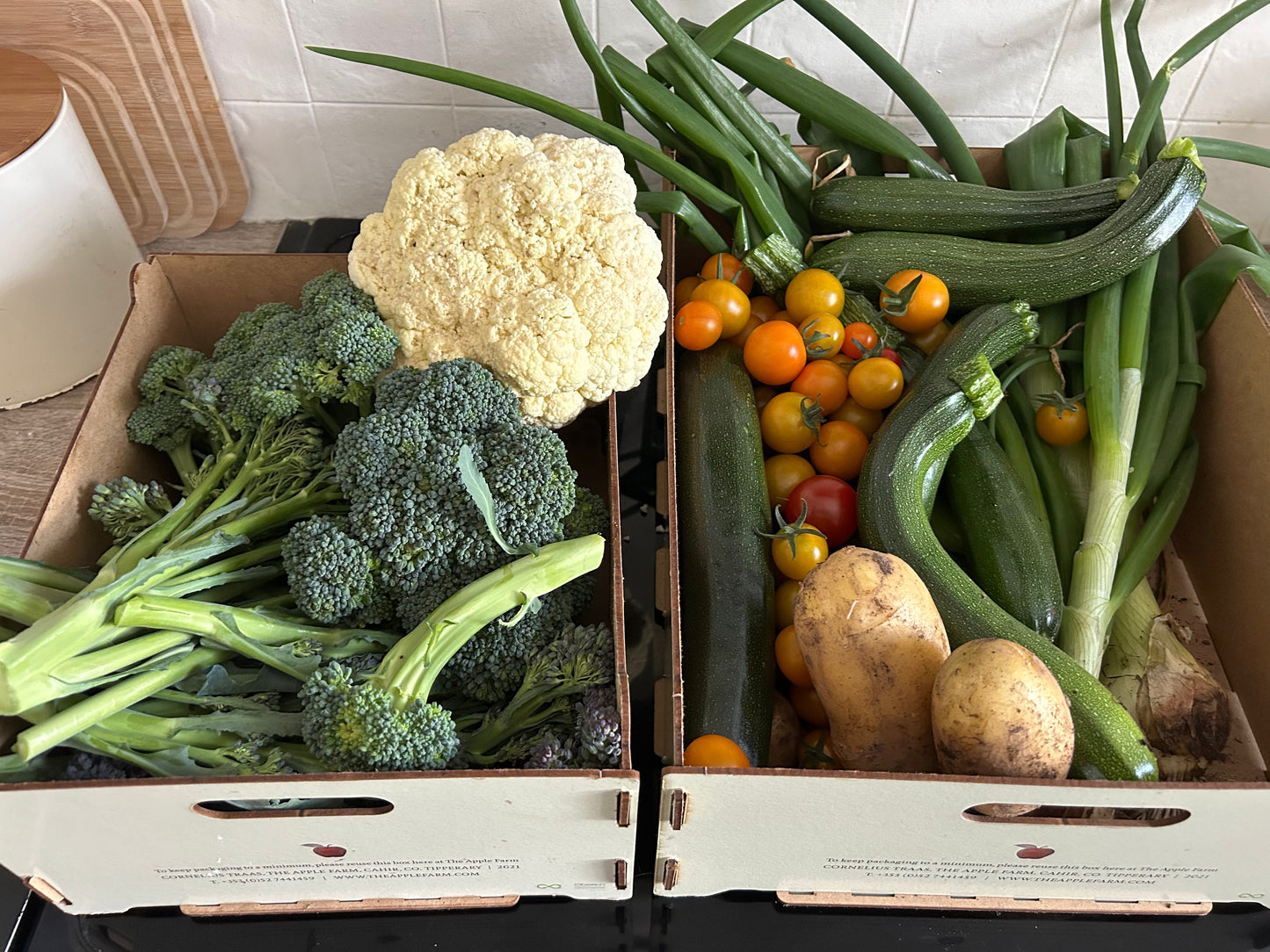 Grow your own way workshop