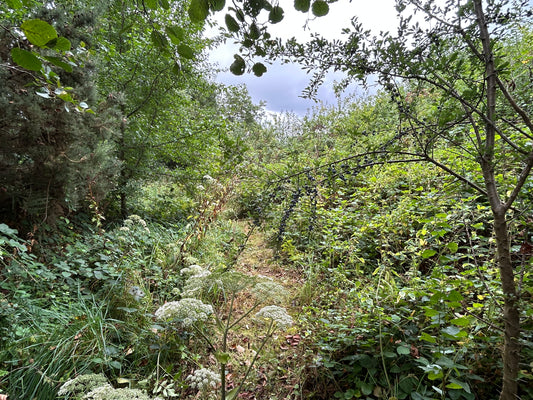 Biodiversity walk