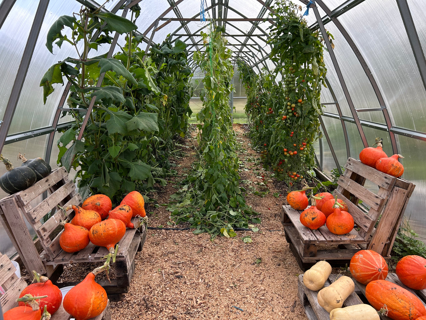 Grow your own way workshop