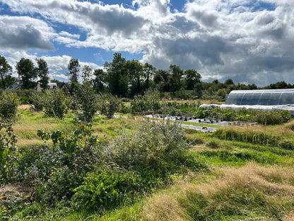 Grow your own way workshop