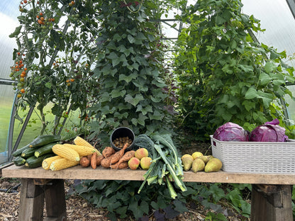 Grow your own vegetables